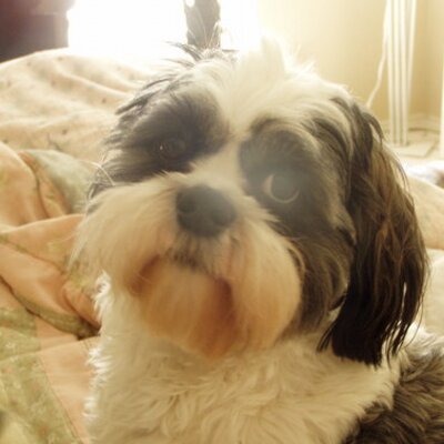 Profile Picture of Jeff Menzel LMT (@massagebymenzel) on Twitter