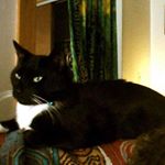 Profile Picture of Maureen Trant (@maureen.trant.73) on Instagram