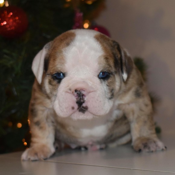 Profile Picture of Nick Mazzulla (@00mazzulla) on Poshmark