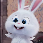 Profile Picture of Adam Chen (@AdamChen-ob8hd) on Youtube