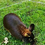 Profile Picture of Jasonlippold10@gmail.com (@jasonlippold10gmail.com5) on Instagram