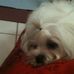 Profile Picture of Florence Pearman (@florence.pearman) on Facebook