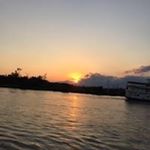 Profile Picture of Gwyneth Thomas Mattingly (@gwynethann54) on Instagram