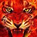 Profile Picture of Sam Kight (@sam.kight.77) on Facebook