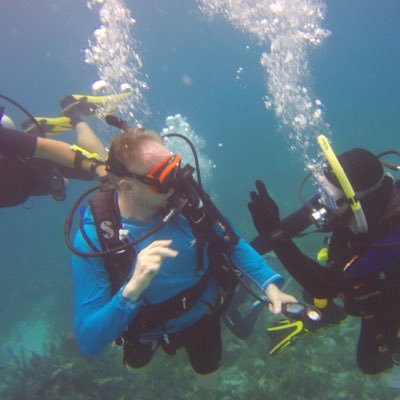 Profile Picture of David Kincaid (@DaveK2000) on Twitter