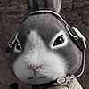 Profile Picture of Alex Vodosky (@Alex Vodosky) on Flickr