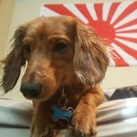 Profile Picture of Mario Pena (@mario-pena-18) on Quora