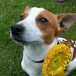 Profile Picture of Noel Walsh (@noel.walsh.3956) on Instagram