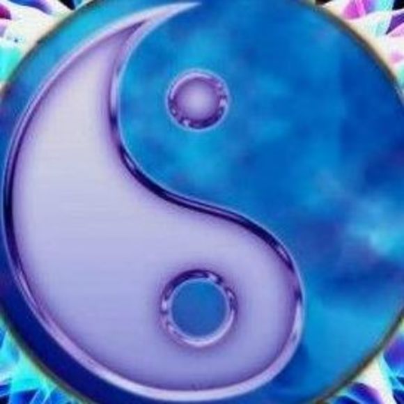 Profile Picture of Jin Lin (@dylynite) on Poshmark