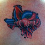 Profile Picture of Casey Haynes (@casey_haynes) on Instagram