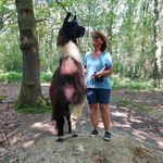 Profile Picture of Alison Cochrane (@alisoncochrane3) on Instagram