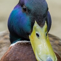 Profile Picture of Jon Duckworth (@jon-duckworth-2) on Quora