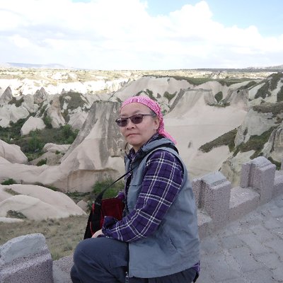 Profile Picture of Lily Peng (@PalLily8) on Twitter