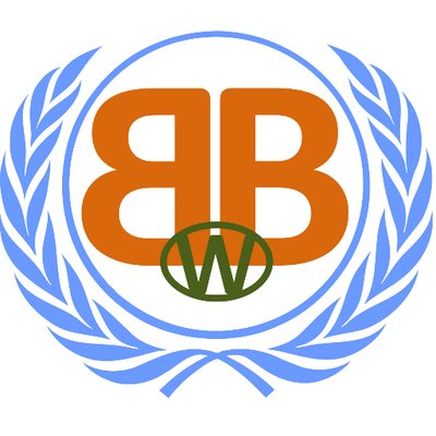 Profile Picture of BrianWithoutBorders  🌐 (@BrianWOBorders) on Twitter