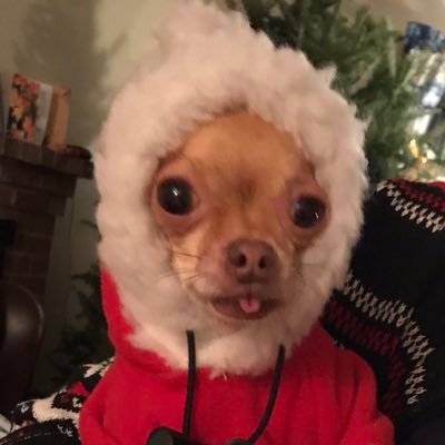 Profile Picture of Mike HIckson (@mailhandlers) on Twitter