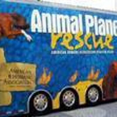 Profile Picture of Marlene López Wong (@animalpetshop) on Twitter