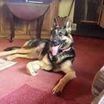 Profile Picture of david Moneypenny (@co2money) on Instagram