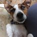 Profile Picture of Lynn Messingham (@lynn.messingham.7) on Facebook