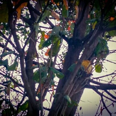 Profile Picture of Ahmad Nabhan (@AhmadNa95321410) on Twitter