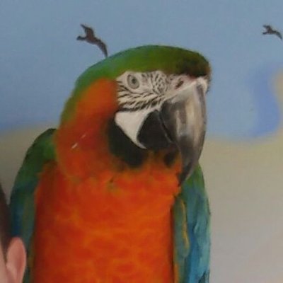 Profile Picture of Bill McCall (@bigpops34) on Twitter