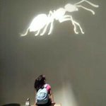 Profile Picture of Alexa Hardy (@hardyalexa) on Instagram