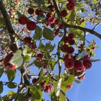 Profile Picture of Octavia Grote (@Octavia-Grote) on Facebook