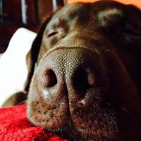 Profile Picture of Corinne Mark Funnell (@corinne-mark-funnell) on Quora