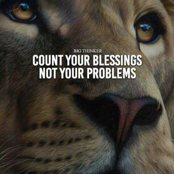 Profile Picture of Jeremy Benson (@treeball30) on Poshmark