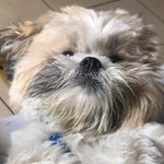 Profile Picture of Luke Pepper (@lukepepper_) on Instagram
