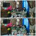 Profile Picture of Hadinata (@hadinata.hadinata.56232) on Facebook
