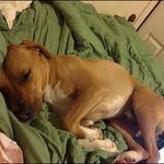 Profile Picture of Erik Kecker (@erikkecker) on Instagram