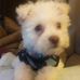 Profile Picture of Chris Ruiz (@chris.ruiz.180625) on Facebook