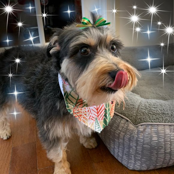 Profile Picture of Sonja Cassady (@tnmissy) on Poshmark