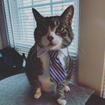 Profile Picture of Joseph Morehead (@mojorhead) on Instagram