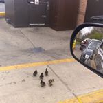 Profile Picture of Theresa Mano (@theresa.mano.14) on Instagram