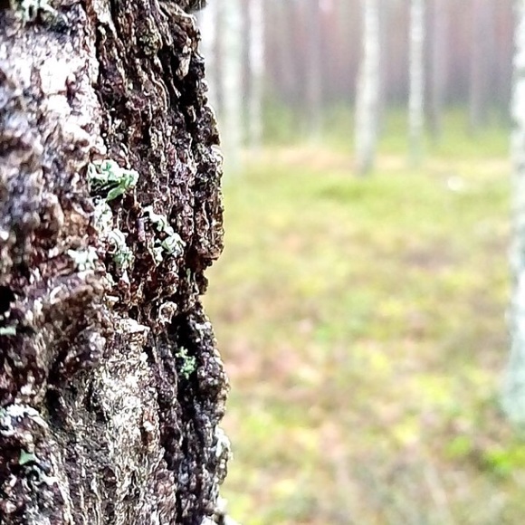 Profile Picture of Olivia Parzych (@olivia23_34) on Poshmark