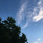 Profile Picture of joshua cortje . (@fredo_thejay) on Instagram