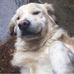 Profile Picture of Barry Kearns (@barry.kearns.752) on Facebook