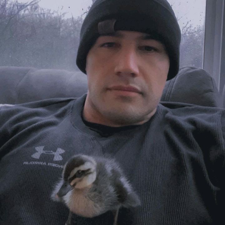 Profile Picture of Marcus Thacker (@marcusthacker7788) on Tiktok