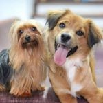 Profile Picture of Sandra Rodriguez (@sandrarodriguezphoto) on Instagram