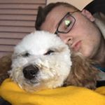 Profile Picture of Jack Gibbs (@jack.gibbs7) on Instagram