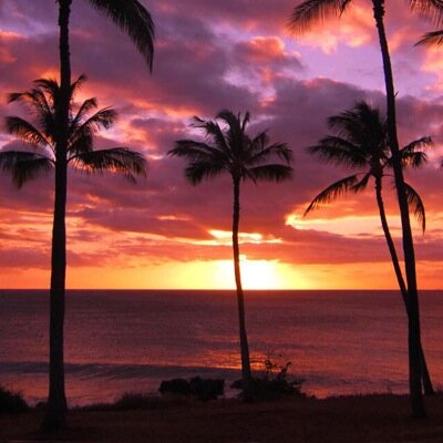 Profile Picture of Eric 88421 (@EricEdwardsen88) on Twitter