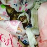 Profile Picture of Sydnee Nicole Eldridge (@rubylonglander) on Instagram