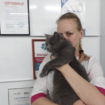 Stephanie Katz - Twitter Profile Picture of Stephanie Katz (@Stephan48945474) on Twitter