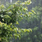 Profile Picture of Merin Joseph (@merinjoseph5189) on Youtube