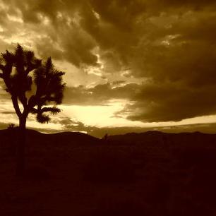 Craig Morey - Twitter Profile Picture of Craig Morey (@craimor) on Twitter