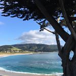 Profile Picture of Dustin Carroll (@coldwatertribe) on Instagram