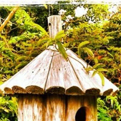 Profile Picture of Gary Sato (@docsato) on Twitter