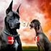 Profile Picture of Arthur Quick (@arthur.quick.54) on Facebook