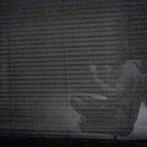 Profile Picture of M Closer (@charlottefv) on Myspace